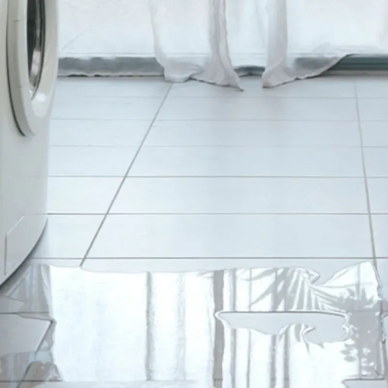 Appliance Leak Cleanup in Molalla, OR
