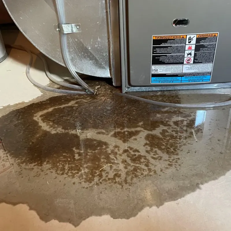 Pipe Burst and Leak Restoration in Molalla, OR