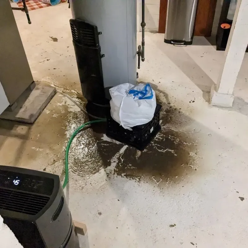 Sewage Backup Cleanup Service in Molalla, OR
